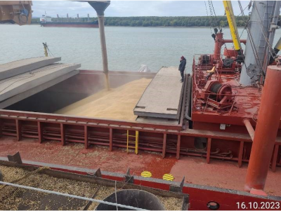 triuph-iv-shipment-3